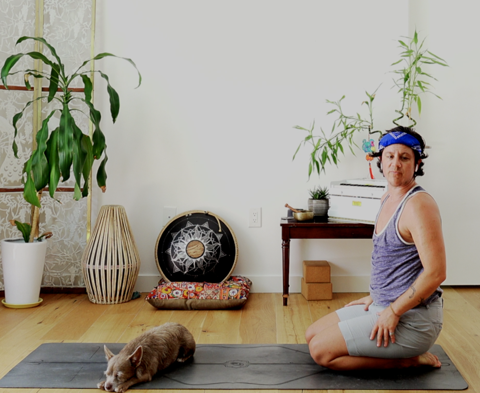 Miles: Palindromes, Hamstrings, Handstands & Backbends (55 min)