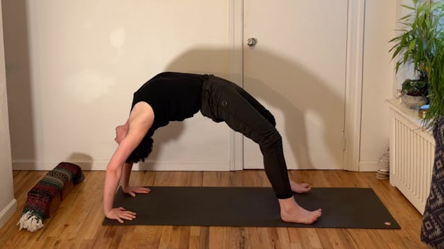 Kevin: Build Backbends Better (66 min...