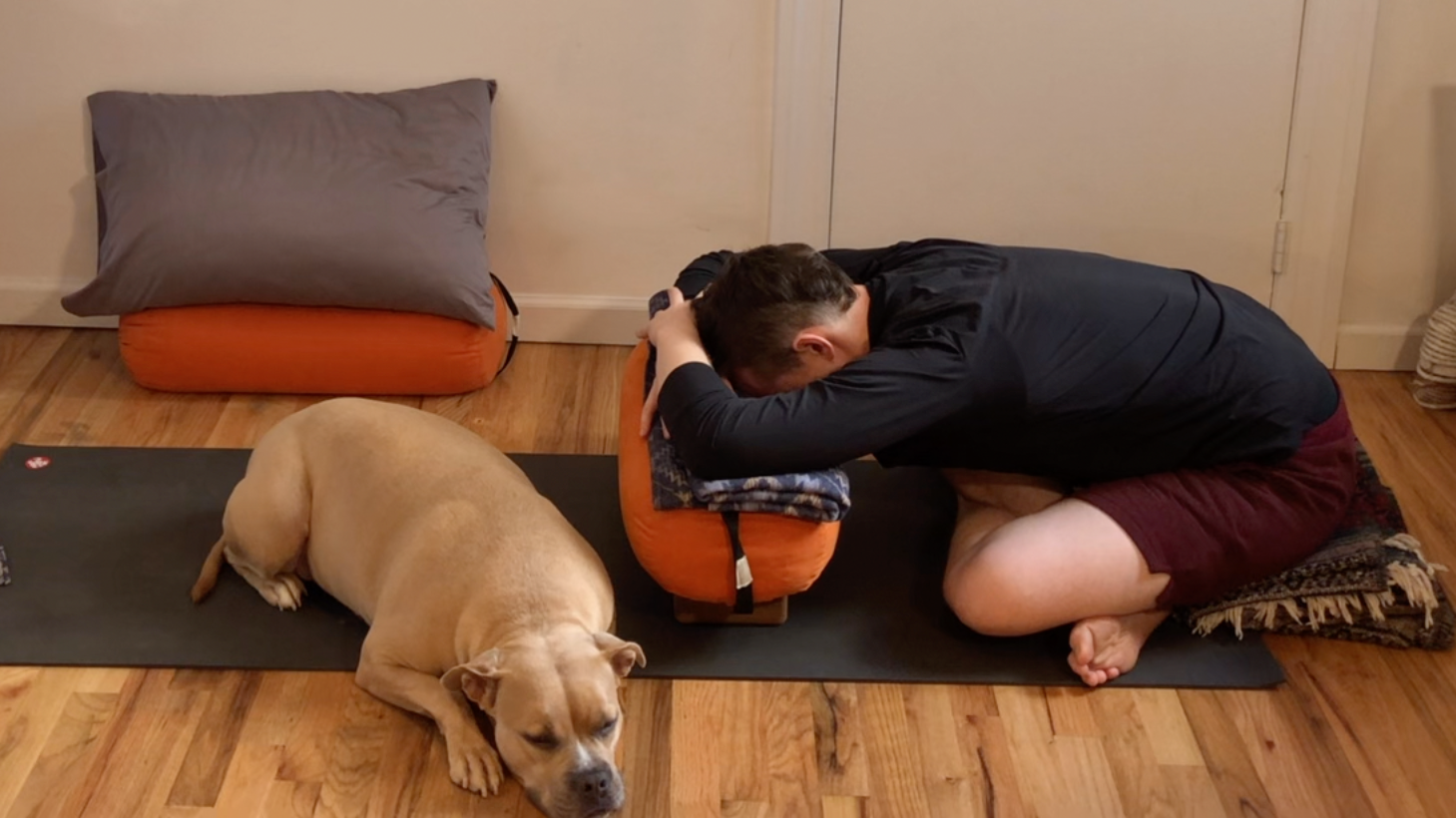 Kevin: Restorative Yoga with Kevin and Alfie (61 minutes)