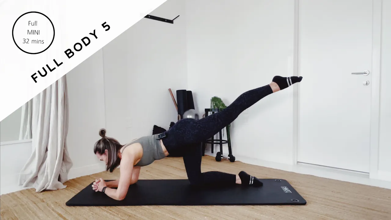 Session Program Full Body Full Body 5 - Mini Sessions / Under 30 minutes - ONFORM at Home