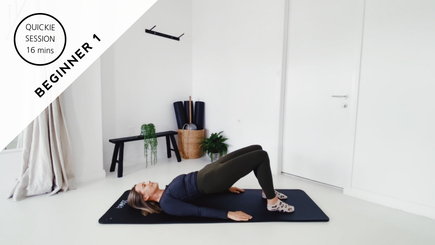 Beginner 1 - Core / Abs / Glutes / Upper Thighs  