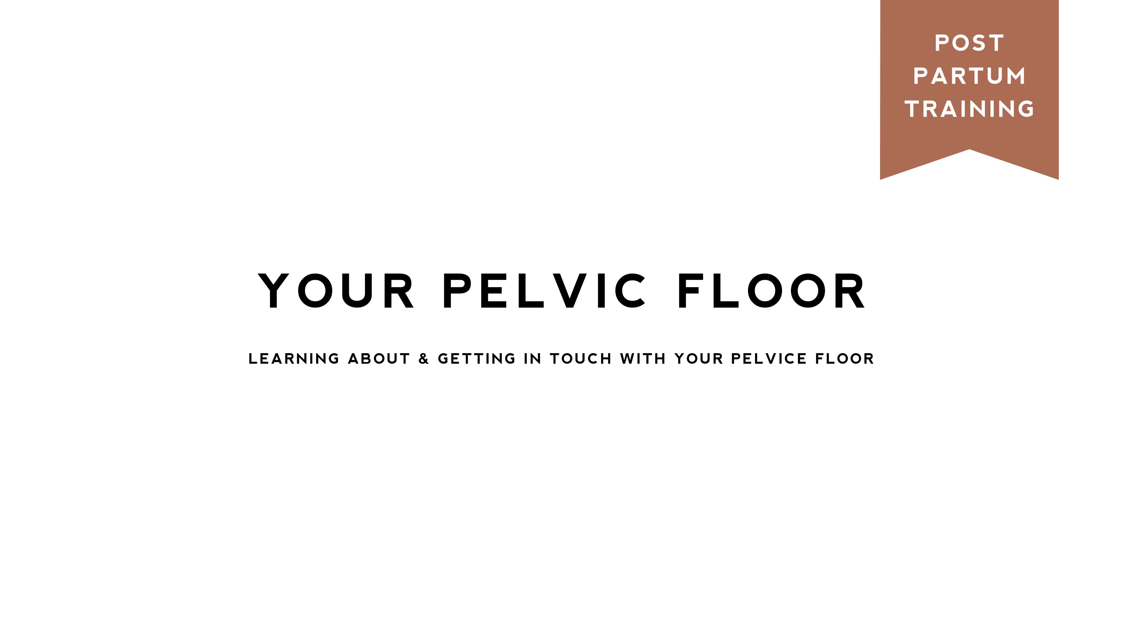 Learning about and engaging your Pelvic Floor