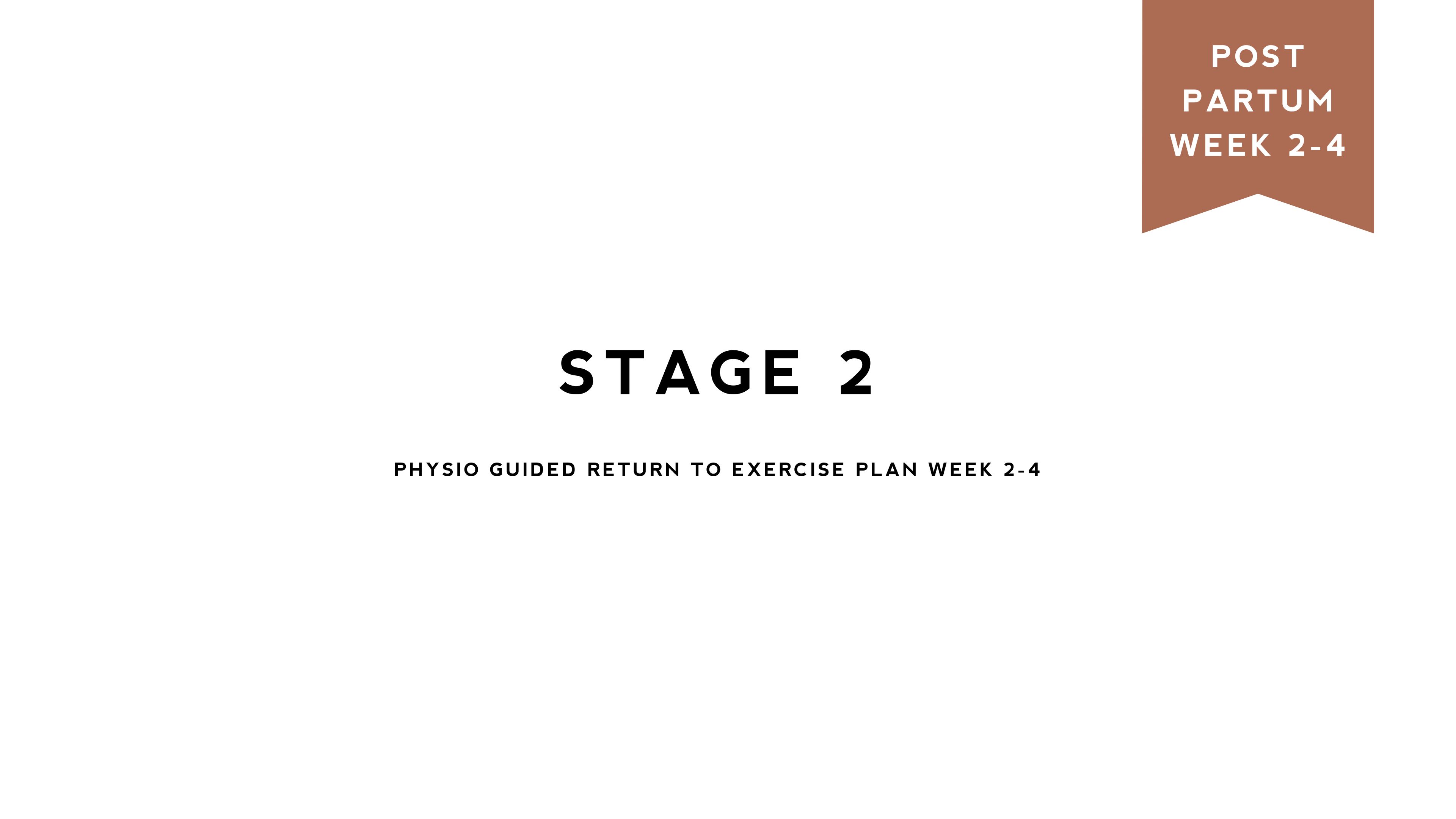 Postpartum Stage 2 / Weeks 2 - 4