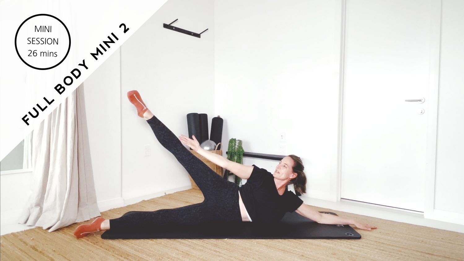 Mini Full Body 2