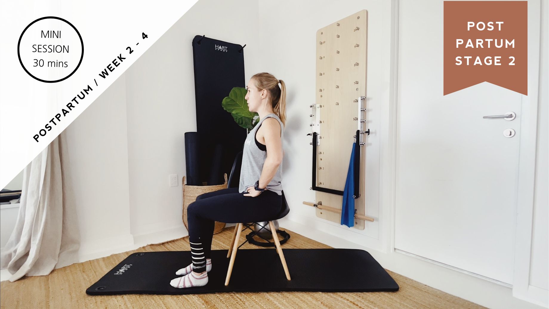 Postpartum / Week 2 - 4 / Session 2