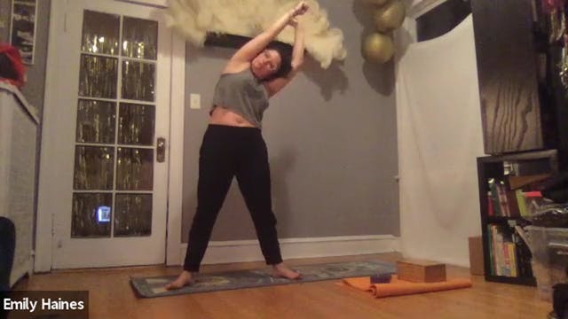 Yoga Playtime Bird of Paradise