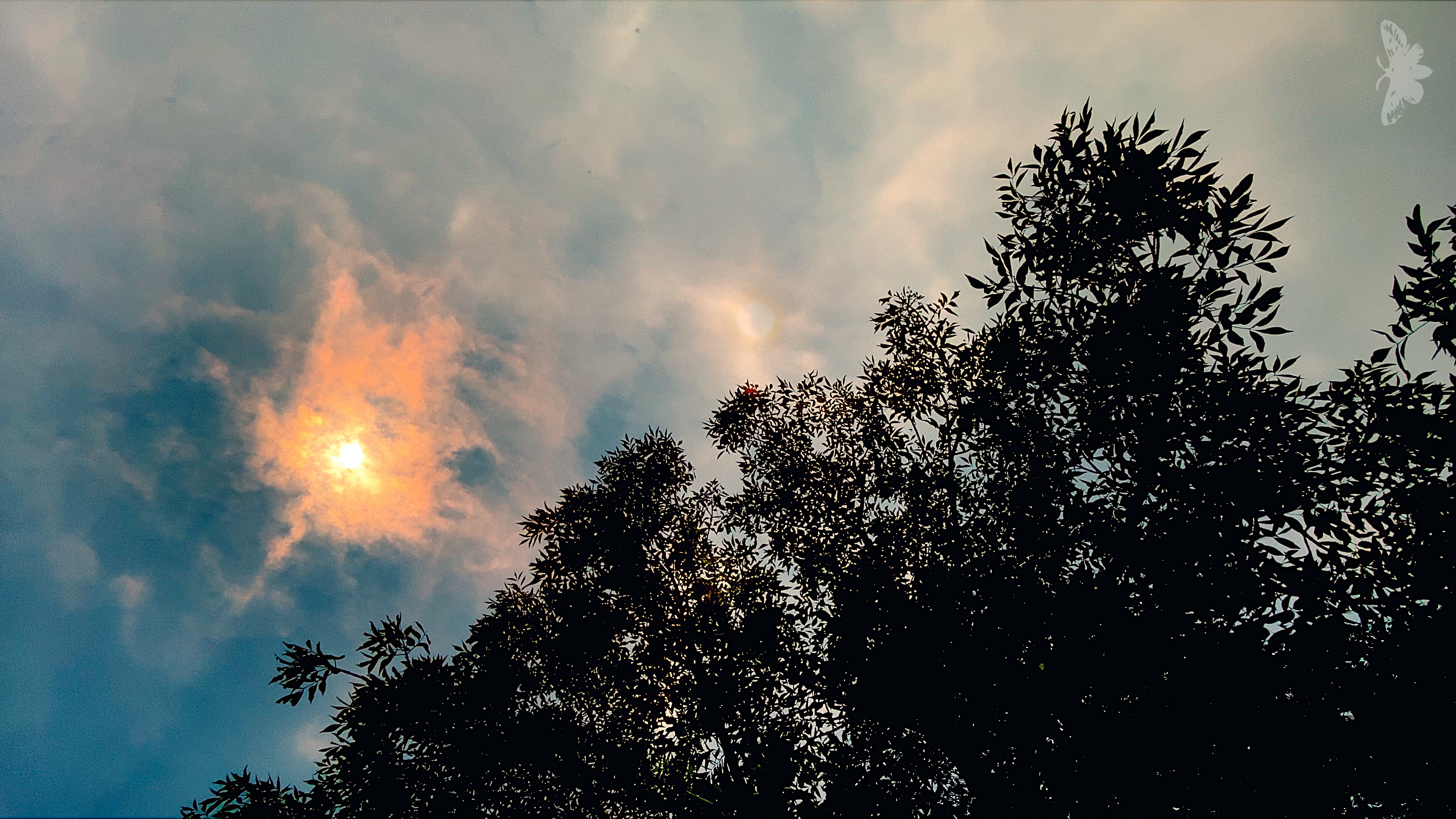 echoes of a summer afternoon