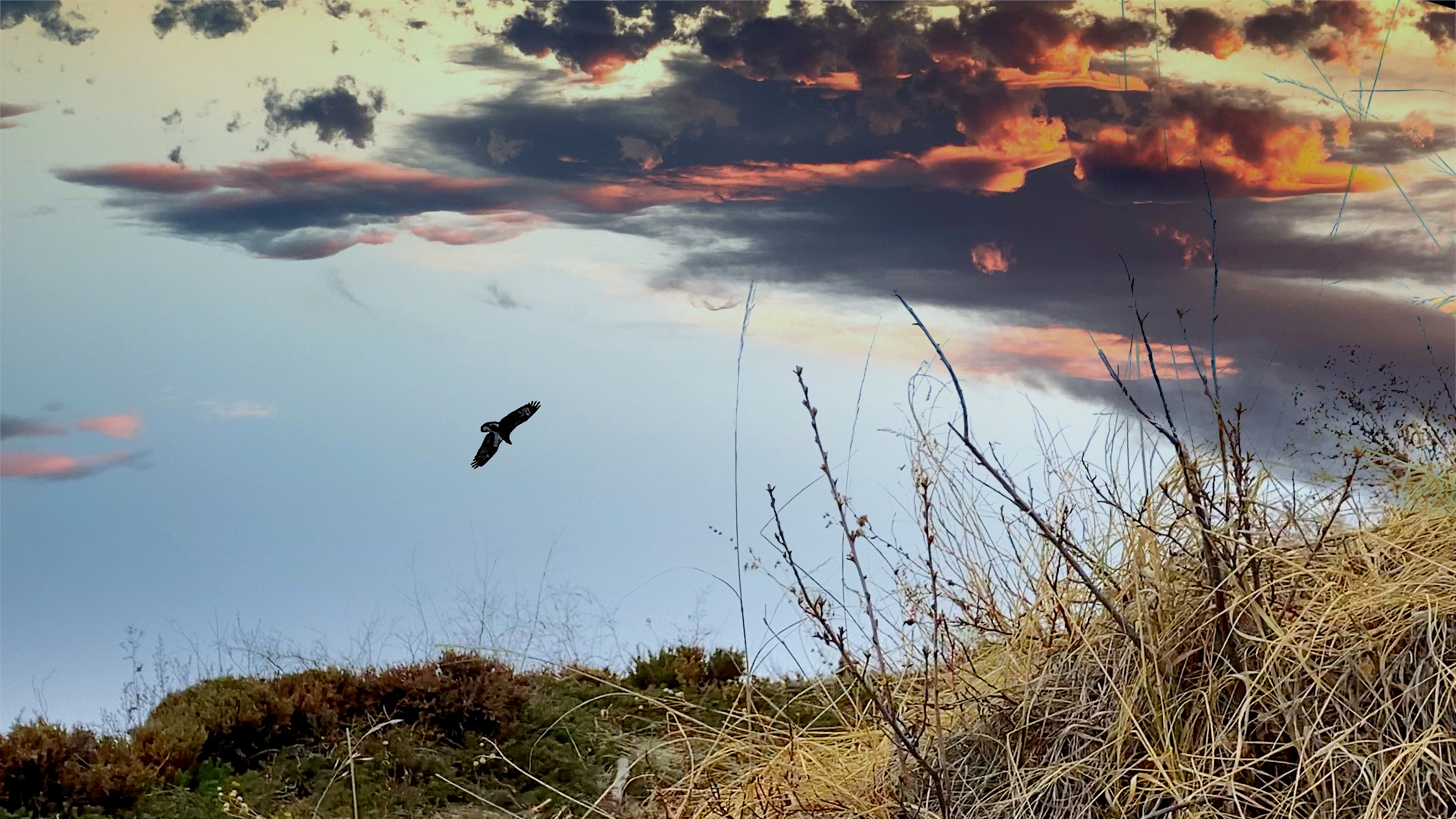 look away from the planet