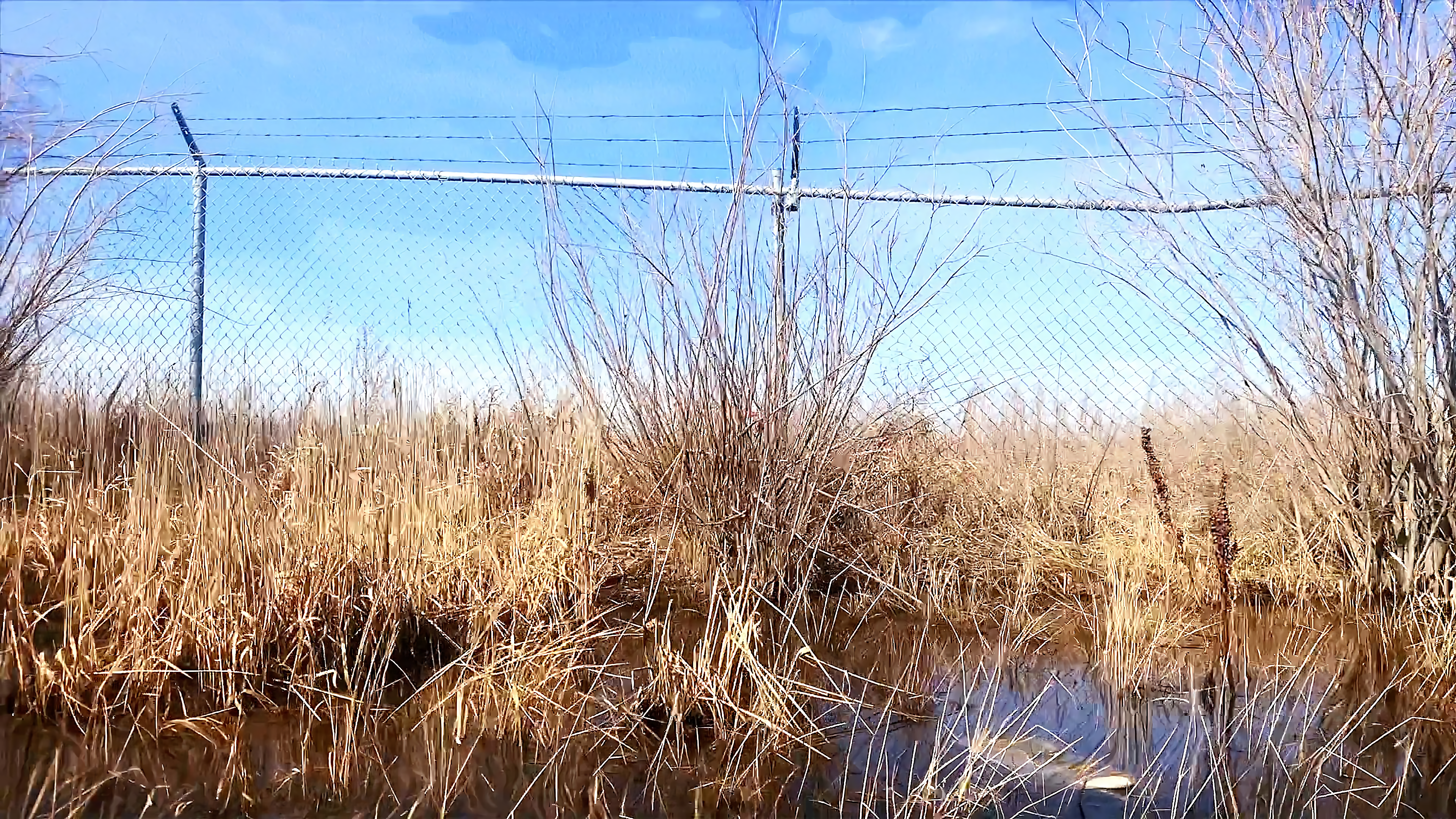 summer's coming triptych