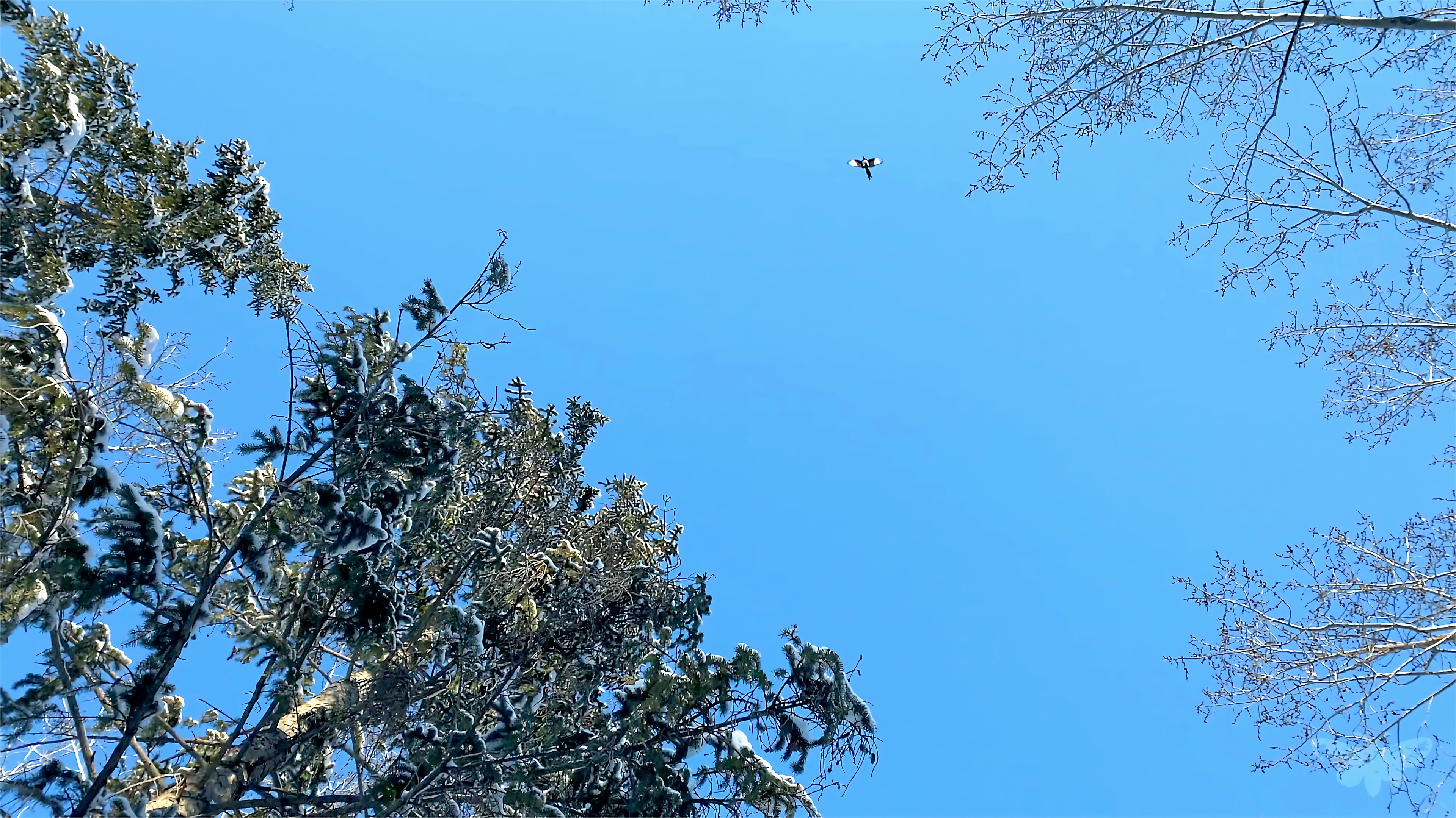 stay awake (if it weren't for you)