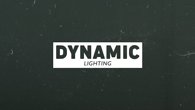 43 - DYNAMIC LIGHTING