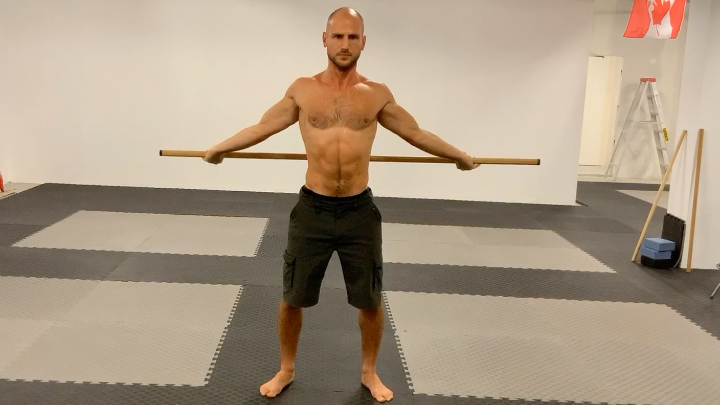 Shoulder Flexion and Extension 360:PALs and RALs End Range Strength and Control