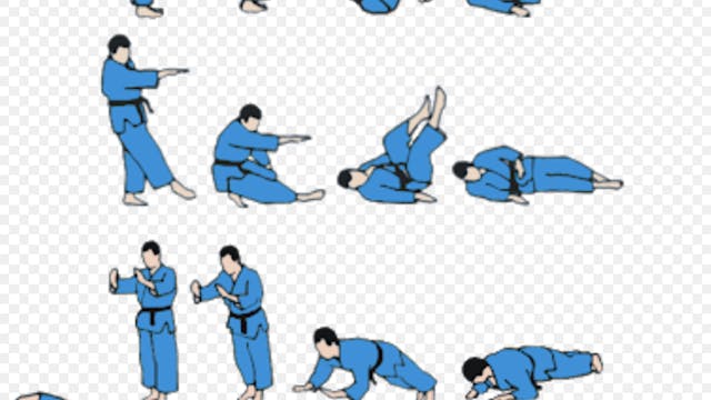 Breakfalls and Rolls Fundamentals