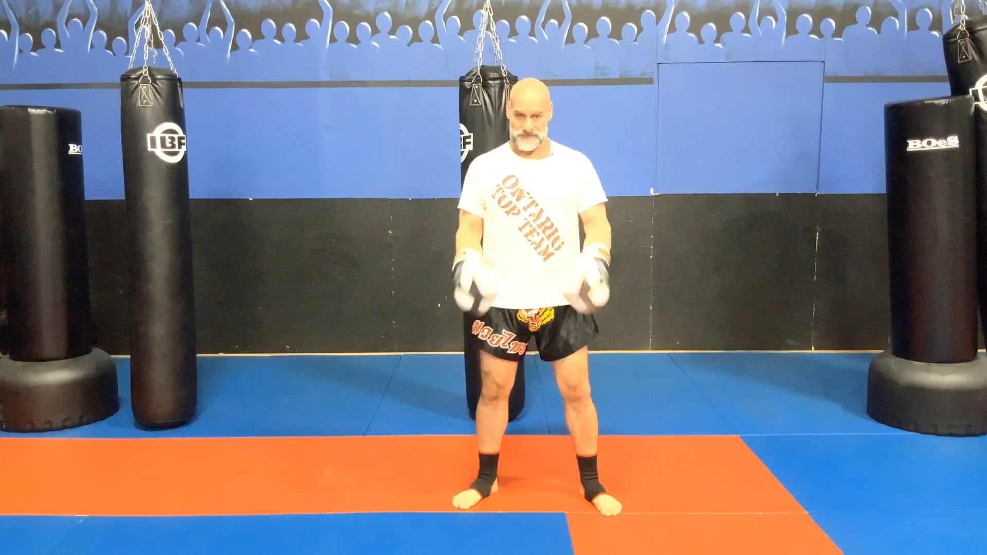 Introduction to the Boxing Jab