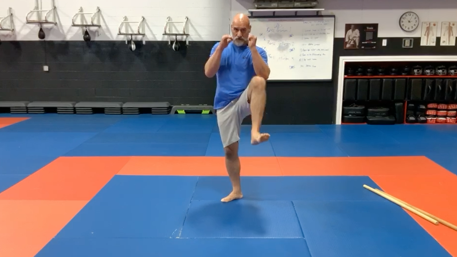 Defending the Muay Thai low kick and mid kick:Checking with the knee shield