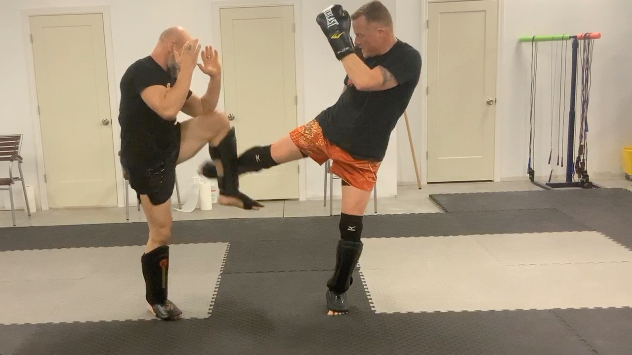 Low Kick Defense:Precision and targeting of the shin check