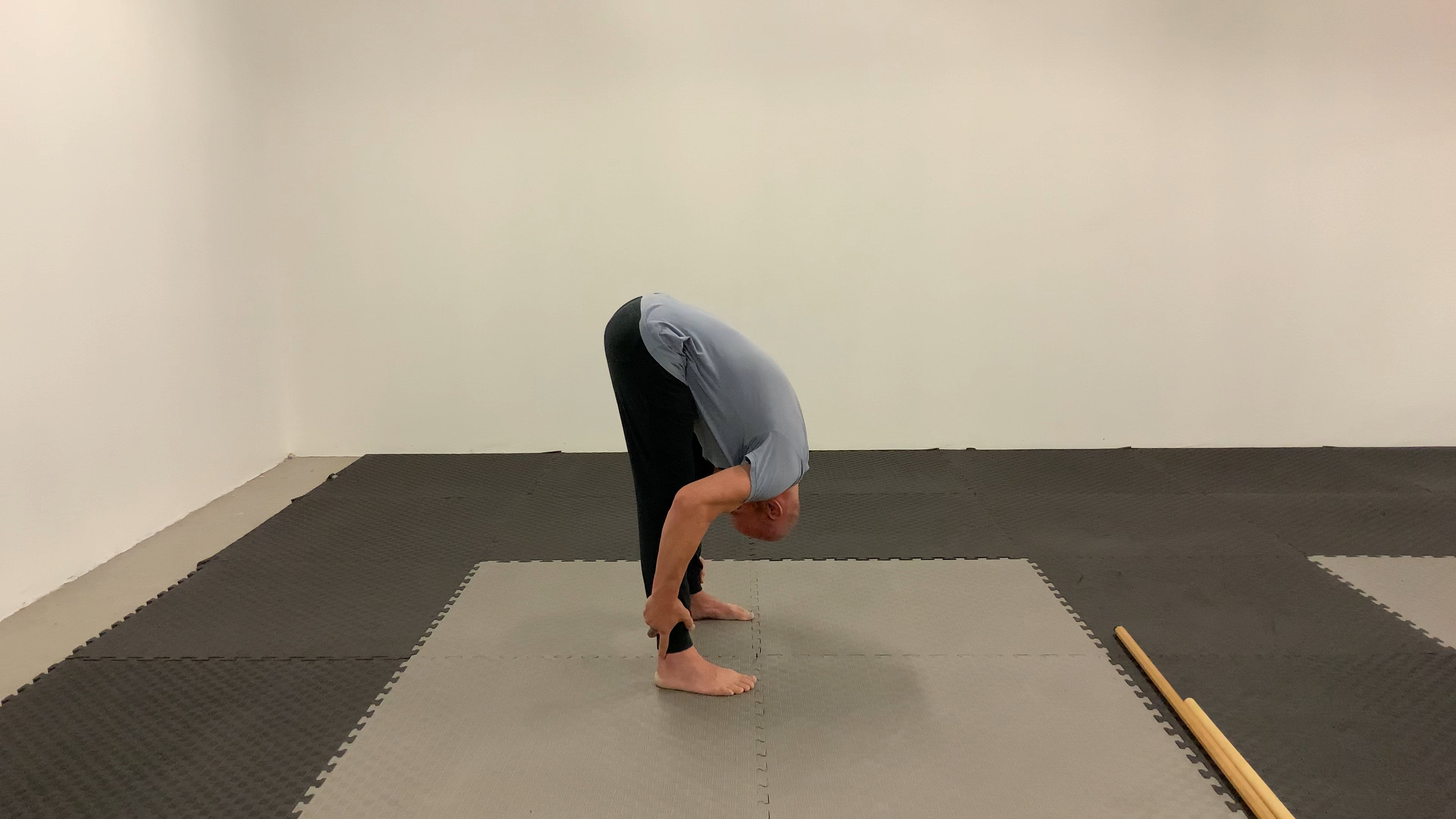 FRC:Flexion and Extension of the Spine