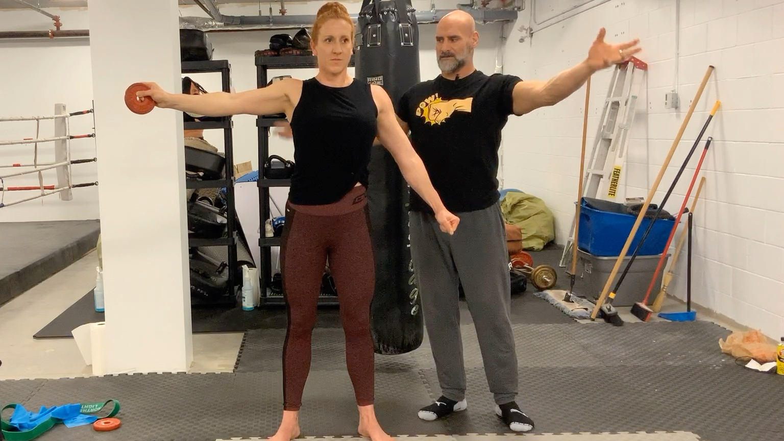 CARs:Level 2 Shoulder PALs and RALs Isolated Articulations