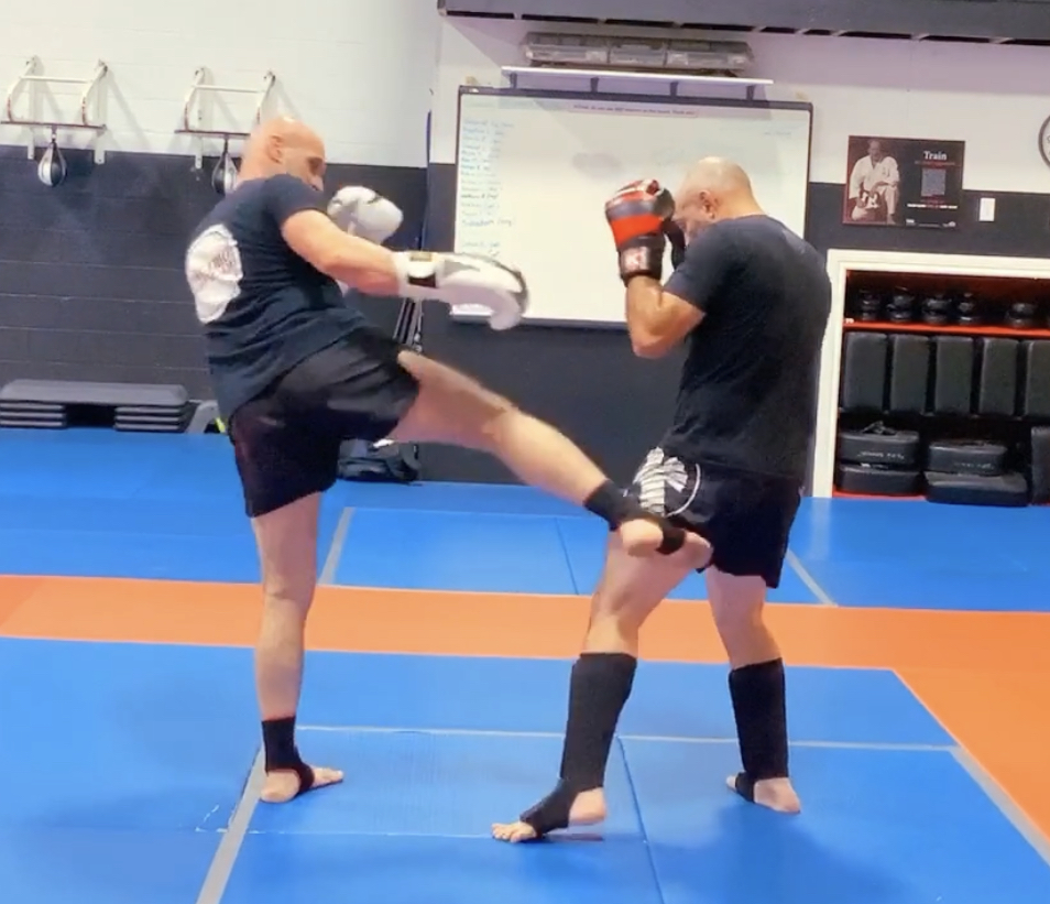 Muay Thai Fundamentals White Shorts:Stripe 2-Lesson 1 Low Kick