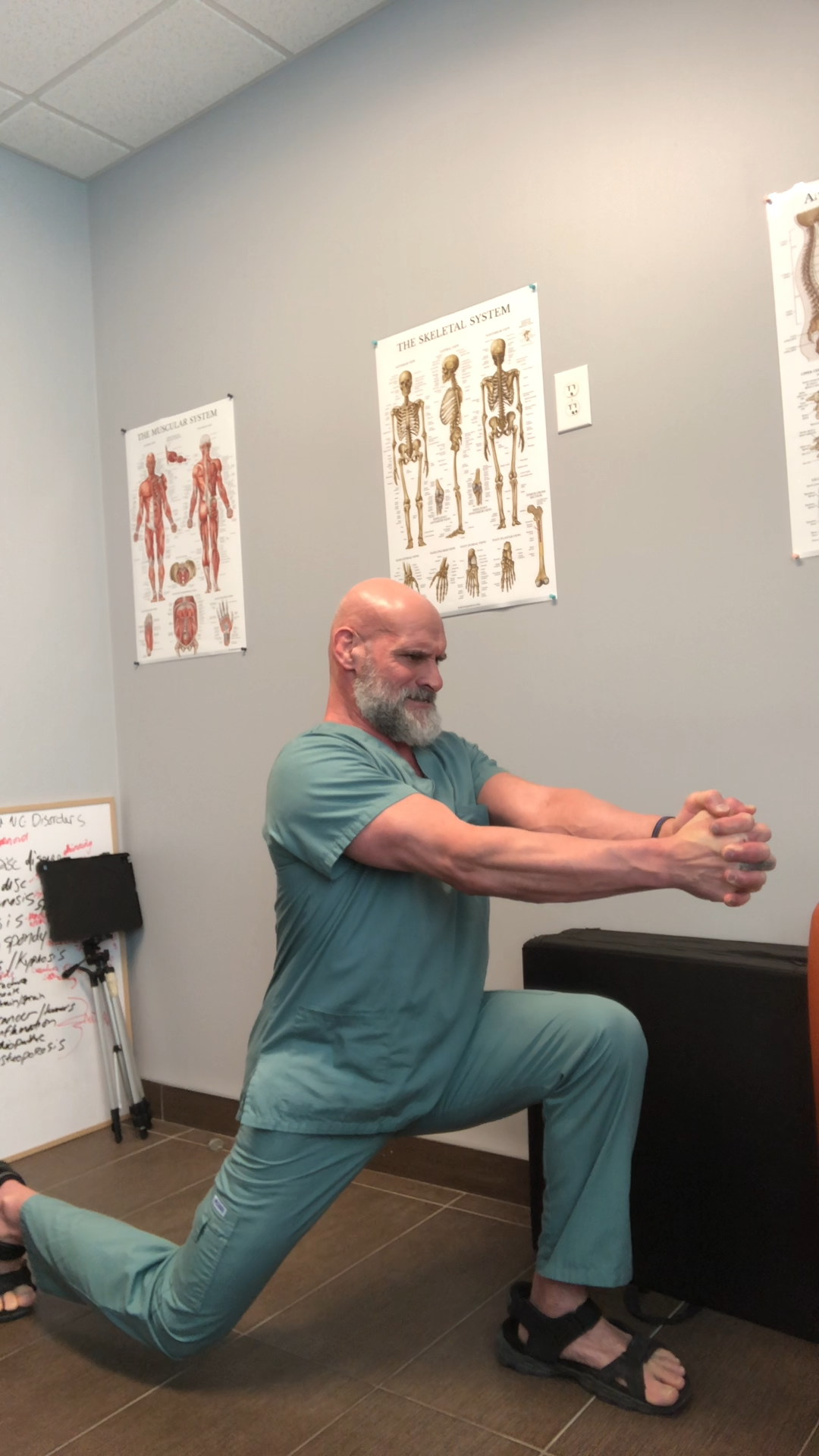 Hips/Hip Flexor, Thighs and Groin: Isometric Lunge 