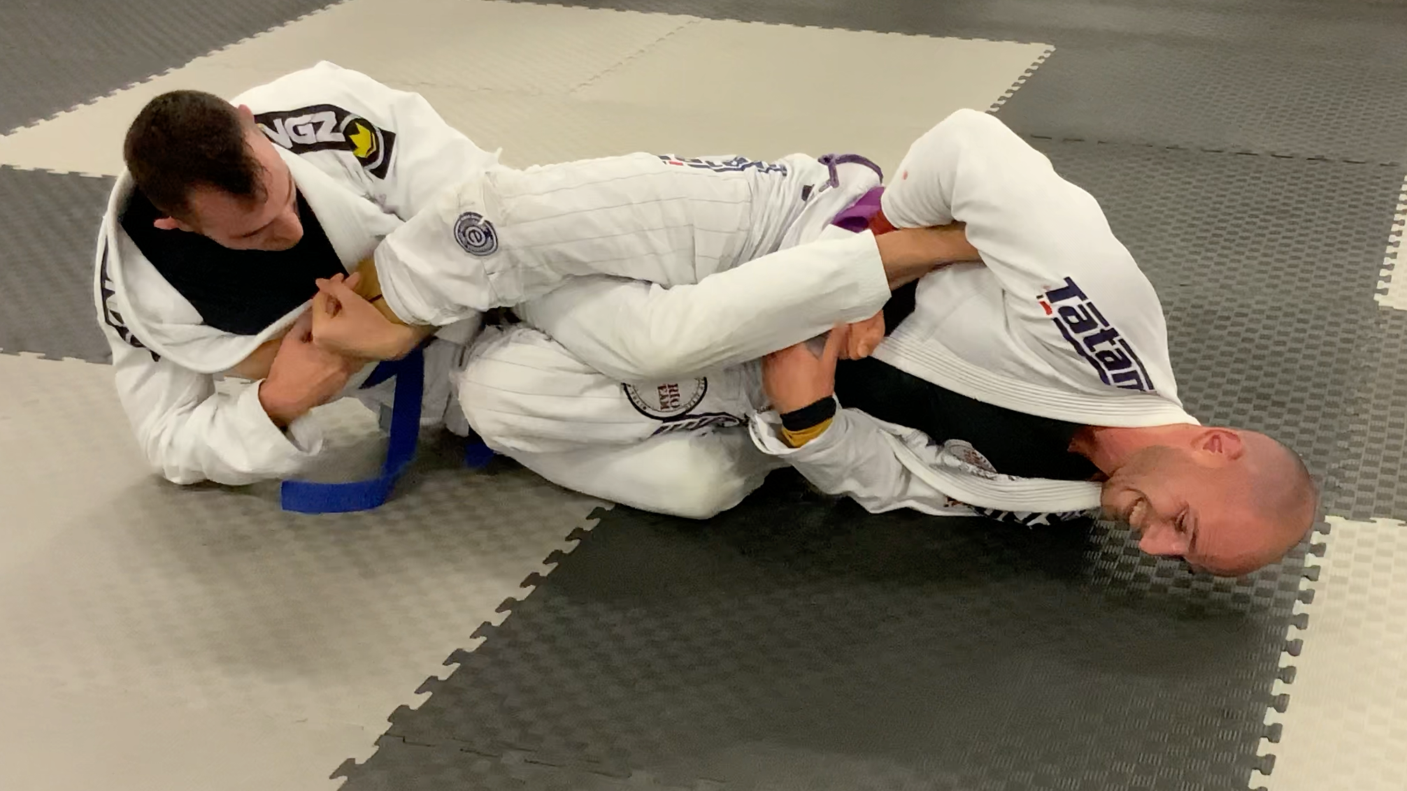 Lazar “the Tiger” Purple Belt Grading and Shark tank rolls-2020/November
