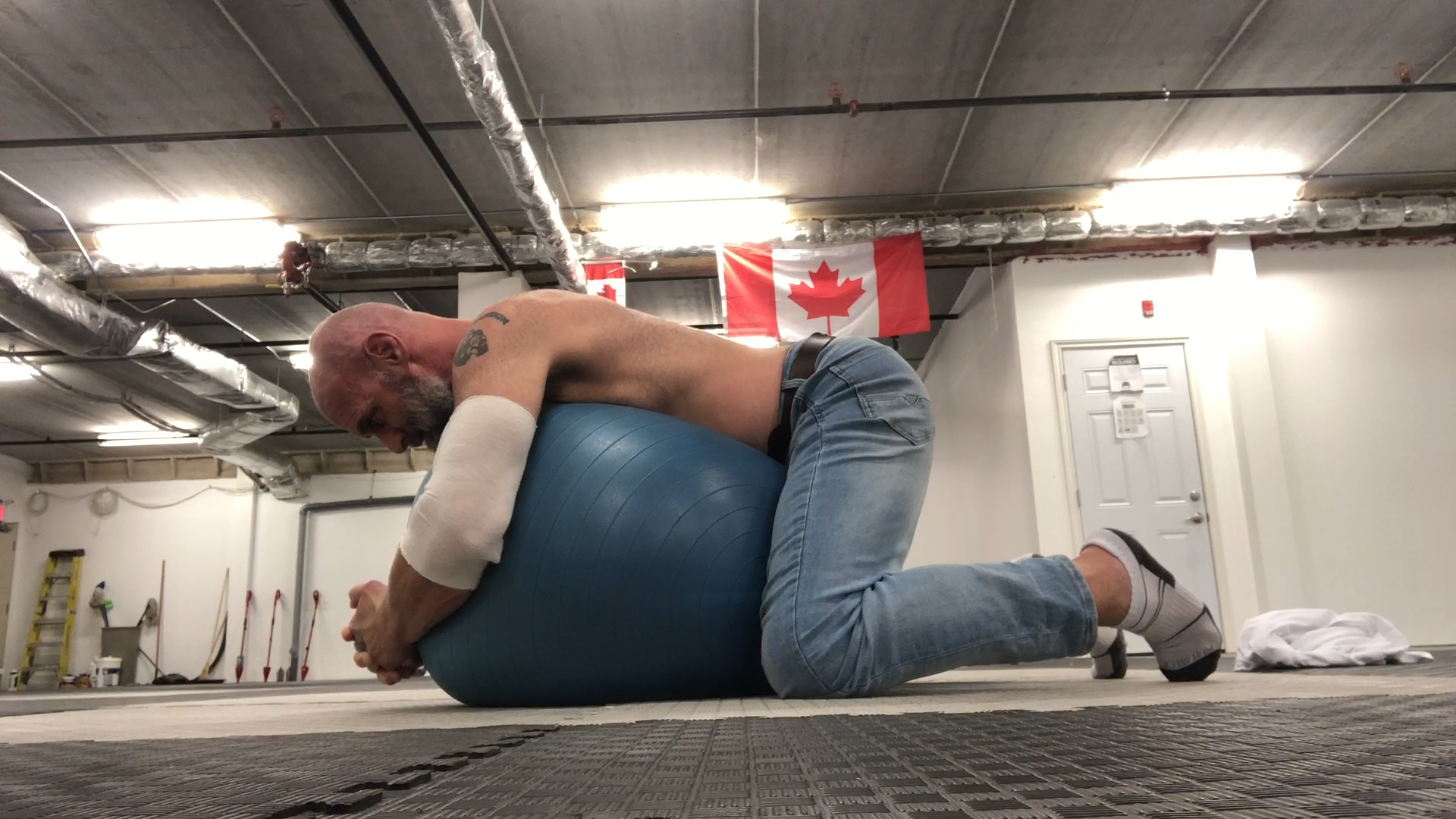 FRC:Spinal CARs Quadruped segmentation on a balance ball