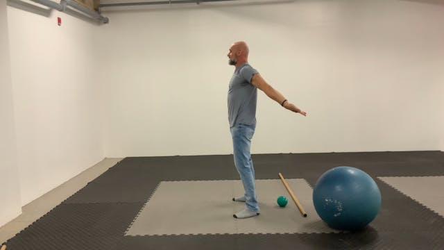Introduction to Shoulder CARs:Level o...