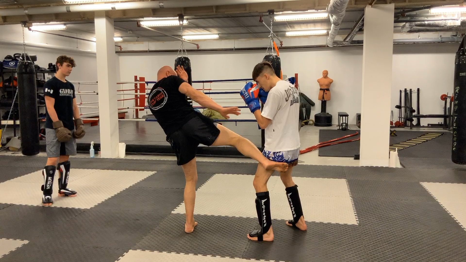 Step In & Around Low Kick