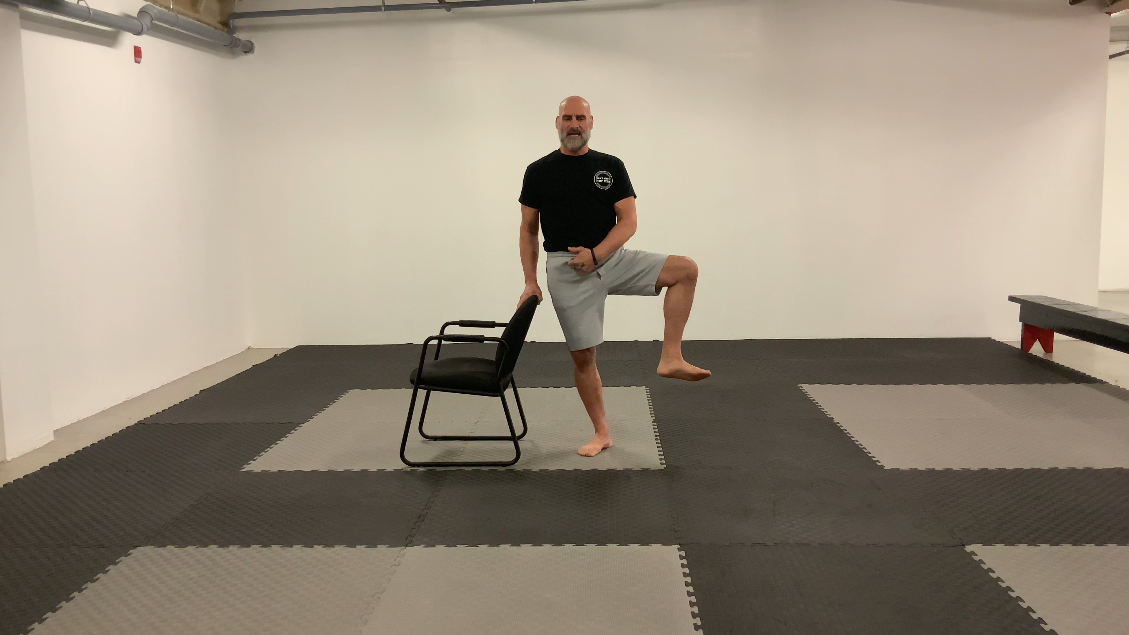 FRC:Introduction to Hip CARs Level One