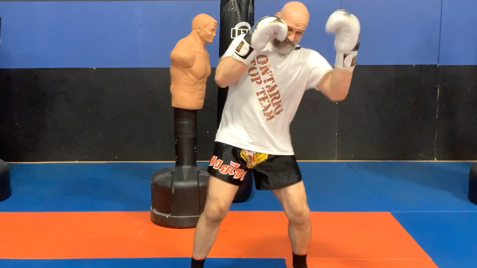 Jab Module:Jab-Feint-Lead Hand Upper Cut