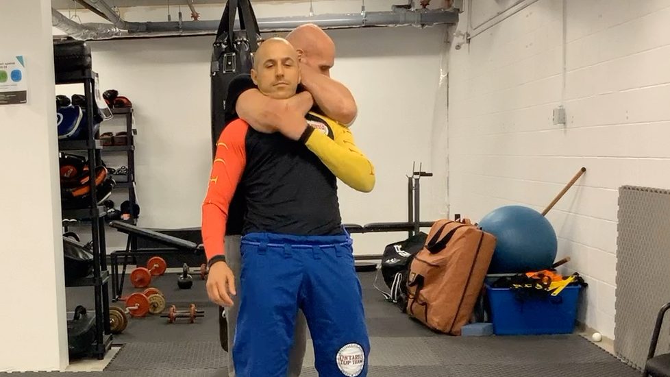 The Physiology and Anatomy of a Rear Vascular Restraint