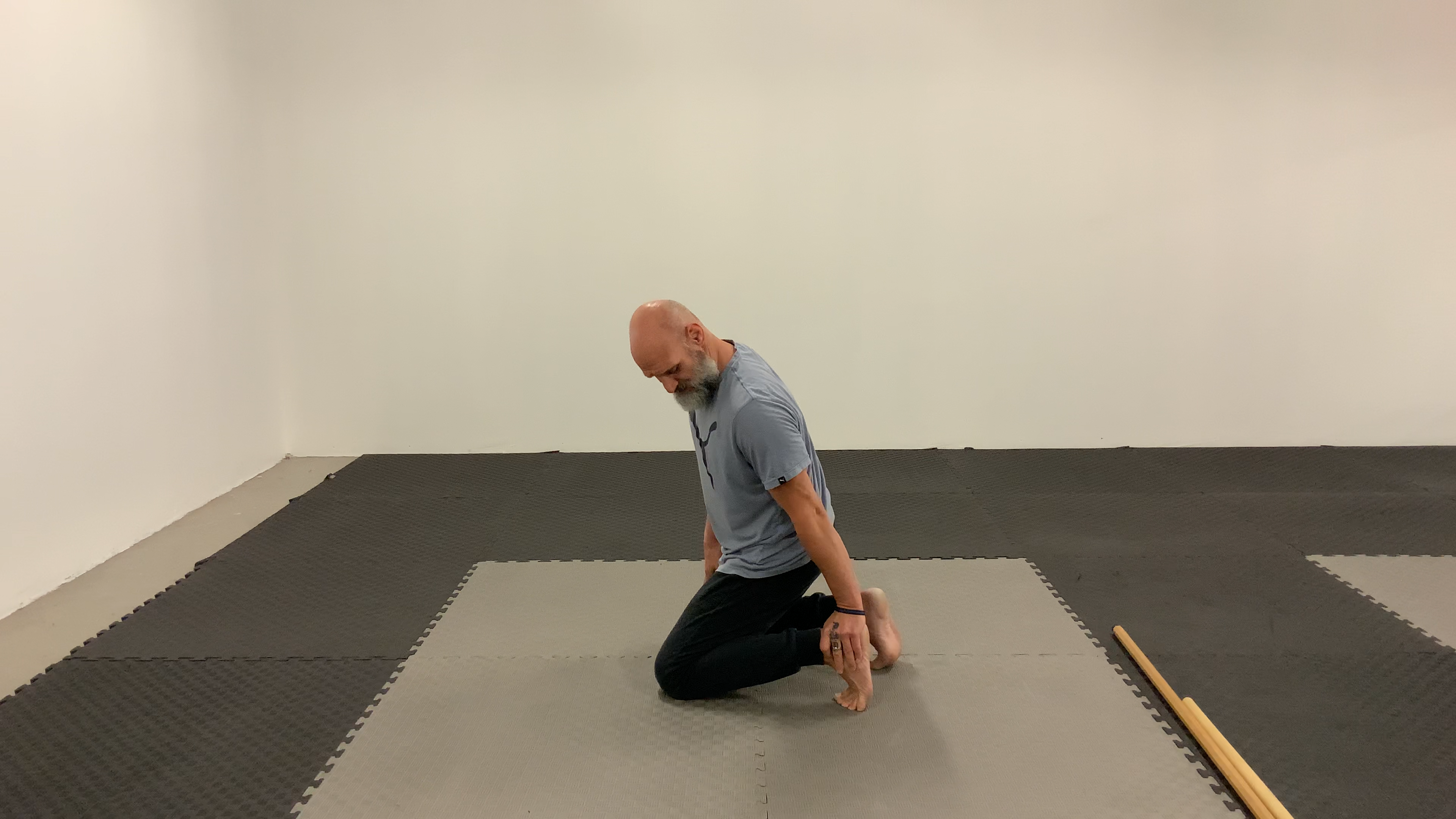 Foot Stretch:PAILs and RAILs