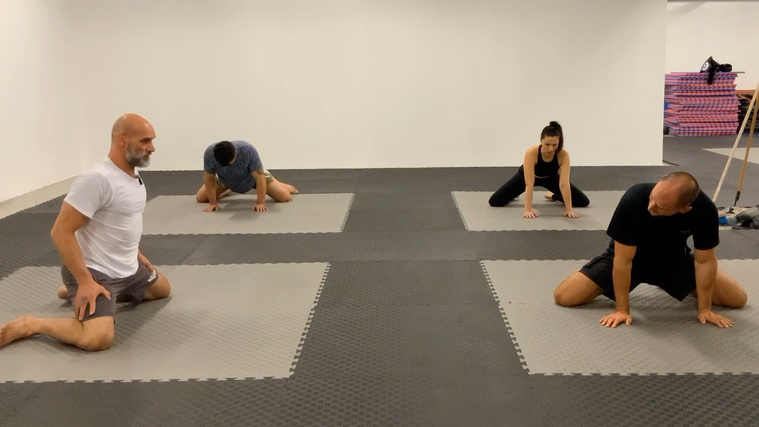 Kinstretch Class:Butterfly to Isometric Pathway 90/90,Position 4 and Frog Base