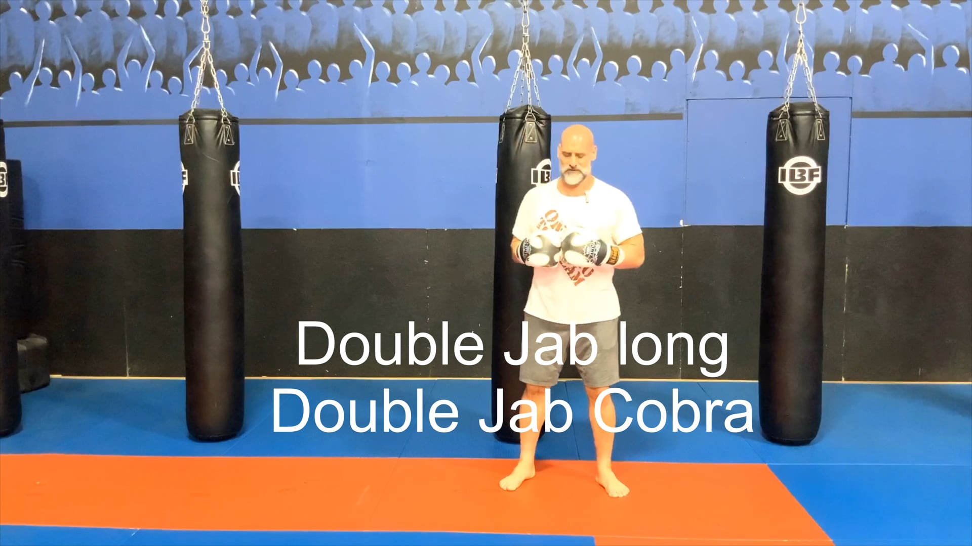 Jab Module:Double Jab and Cobra Jab