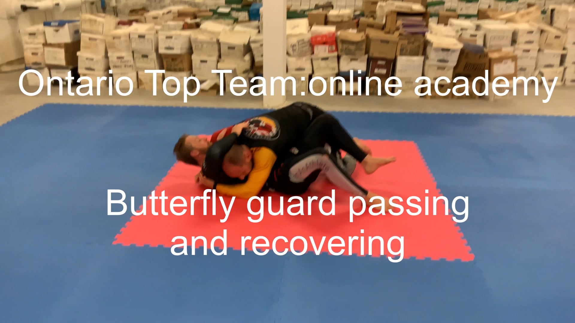 Butterfly guard pass and butterfly guard recovery