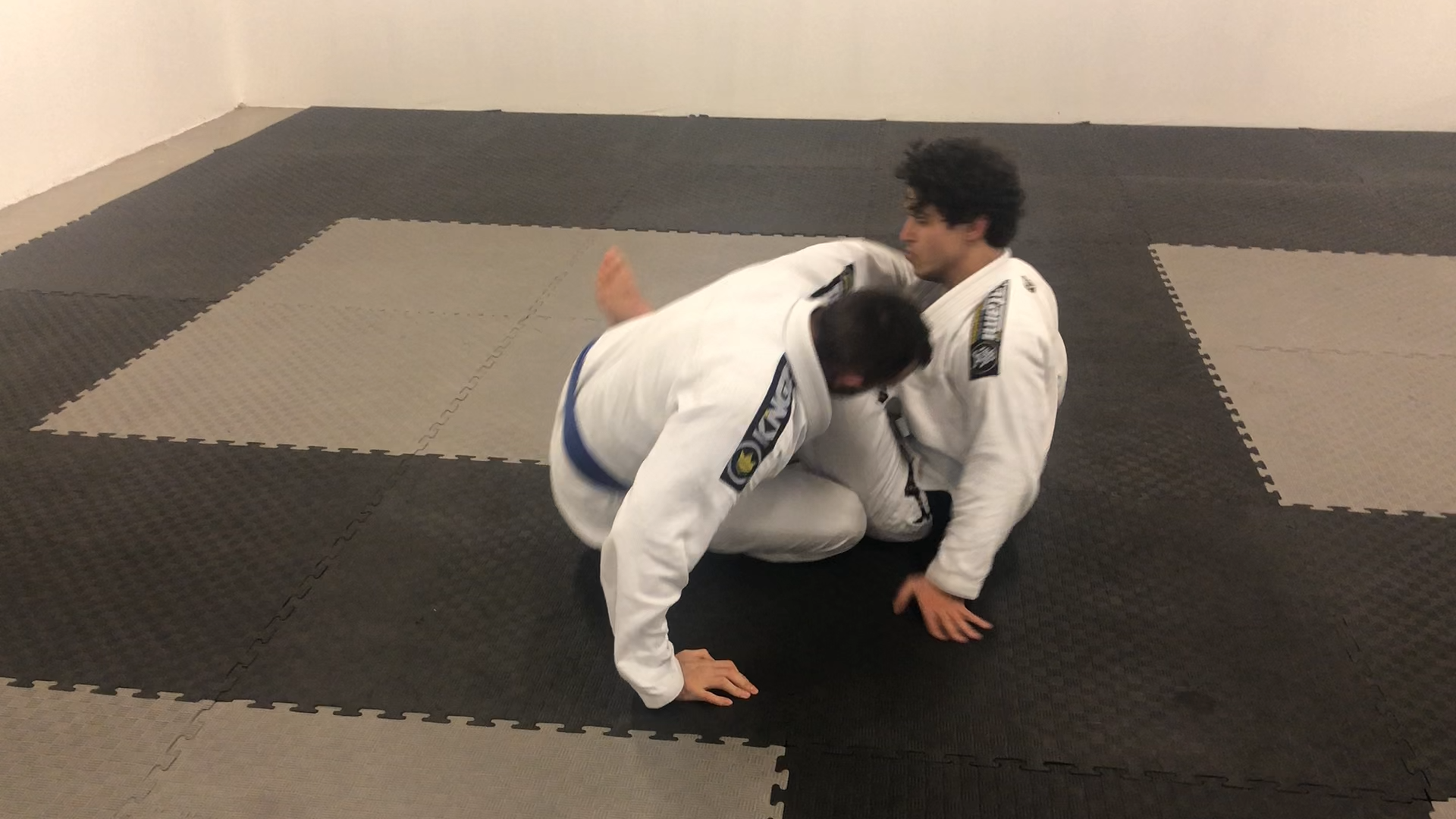Leg Lock Module:Cross Ashigarami to leg drag pass