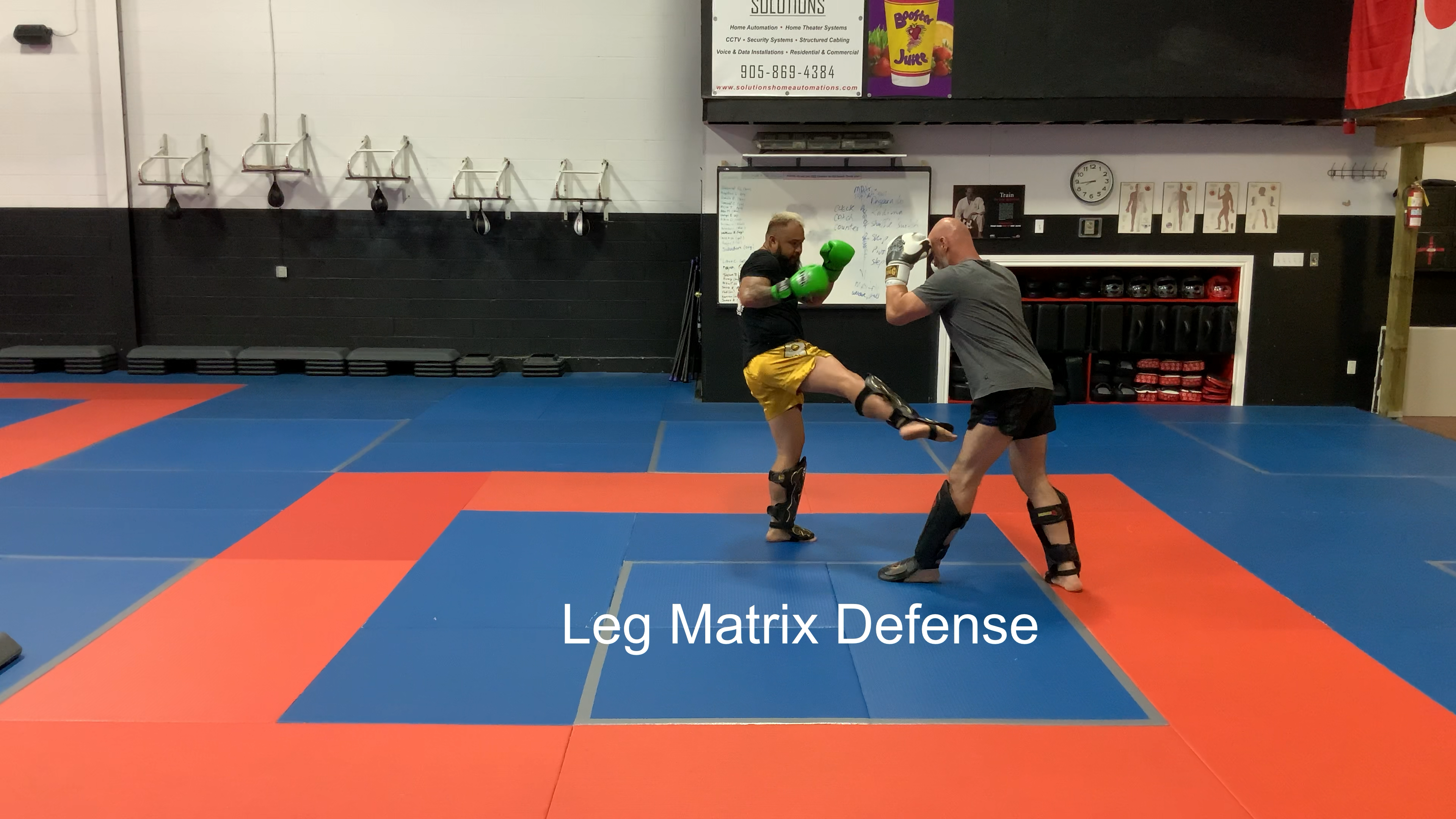 Technical  free sparring with Low Kick Emphasis