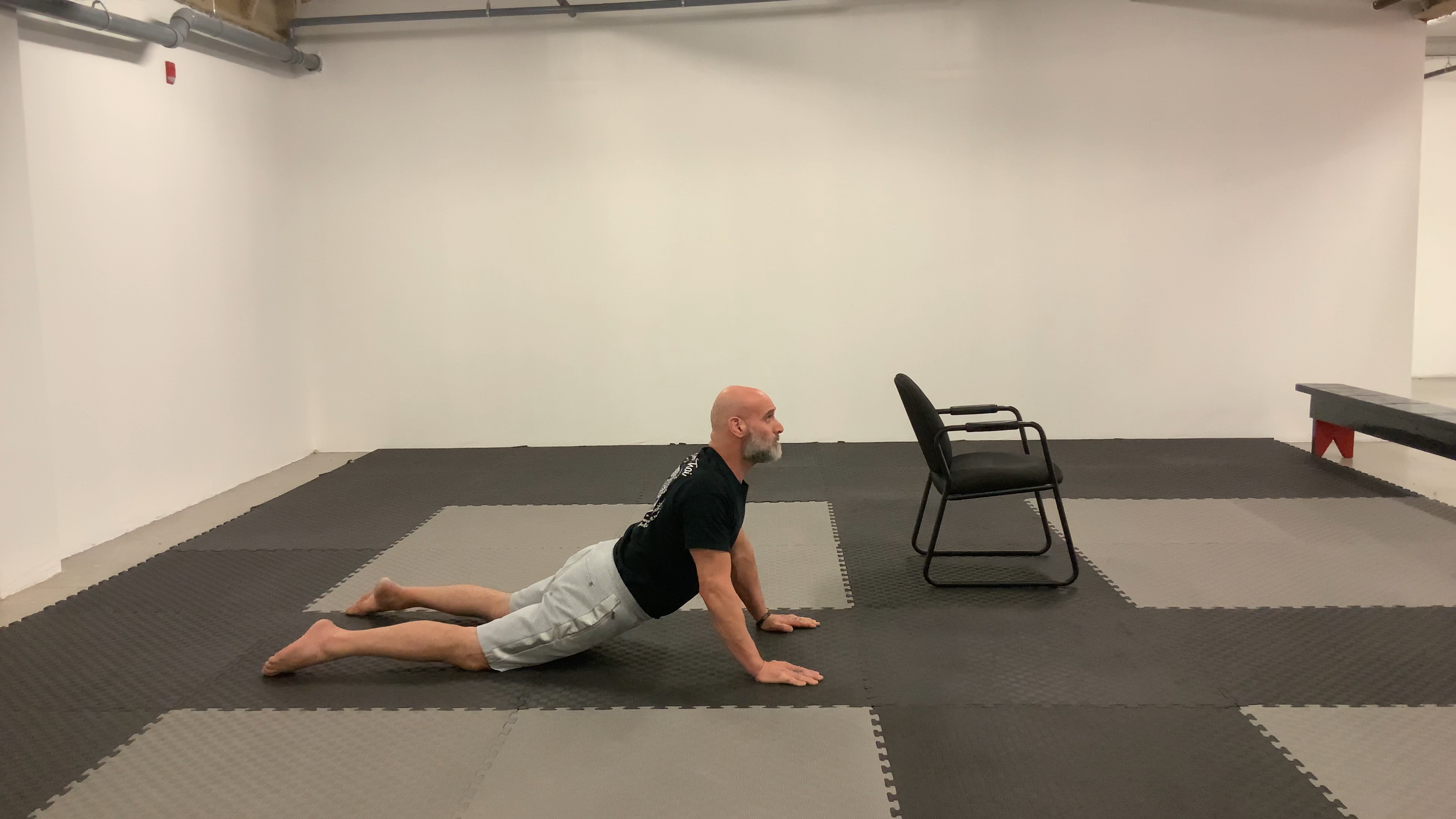 FRC:Spine Spinal Extension-Modified Cobra Stretch