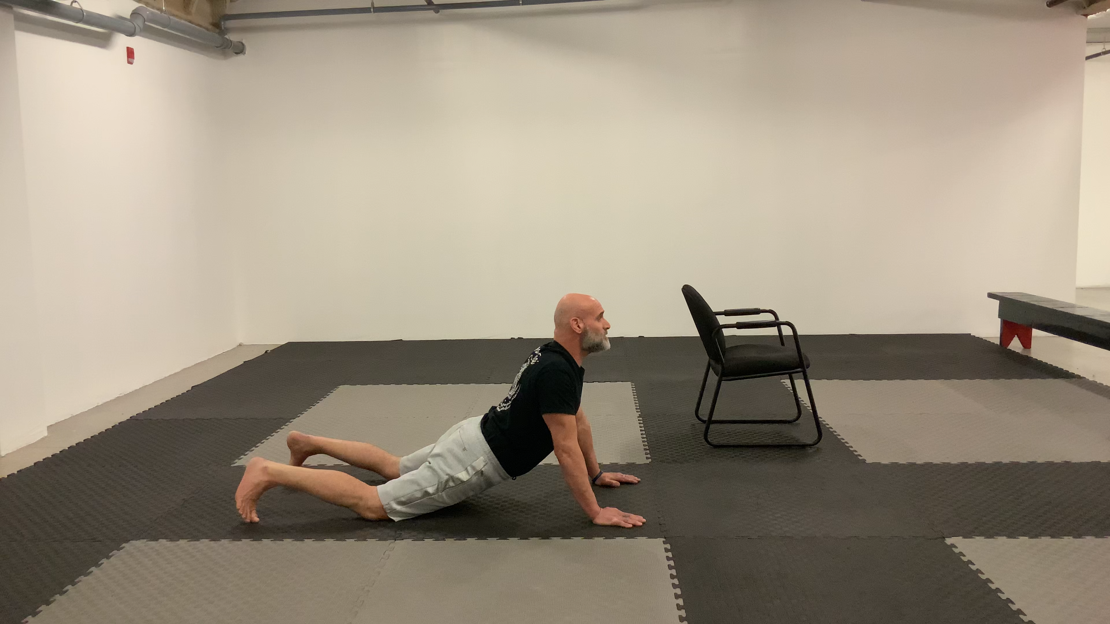FRC:Spine Full Cobra Stretch (spinal extension)