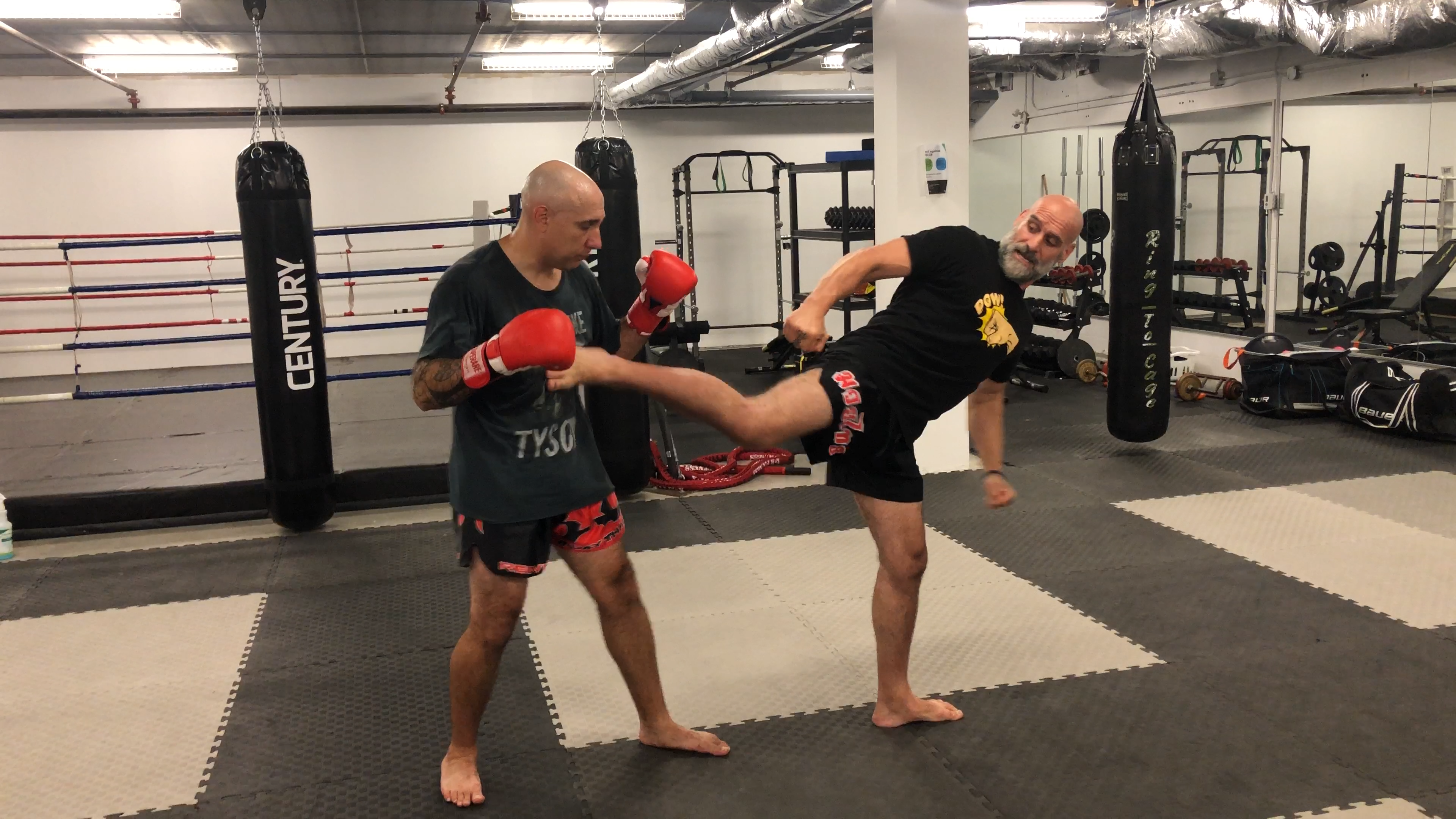 Swing kick (wheel) Vs Spin Kick