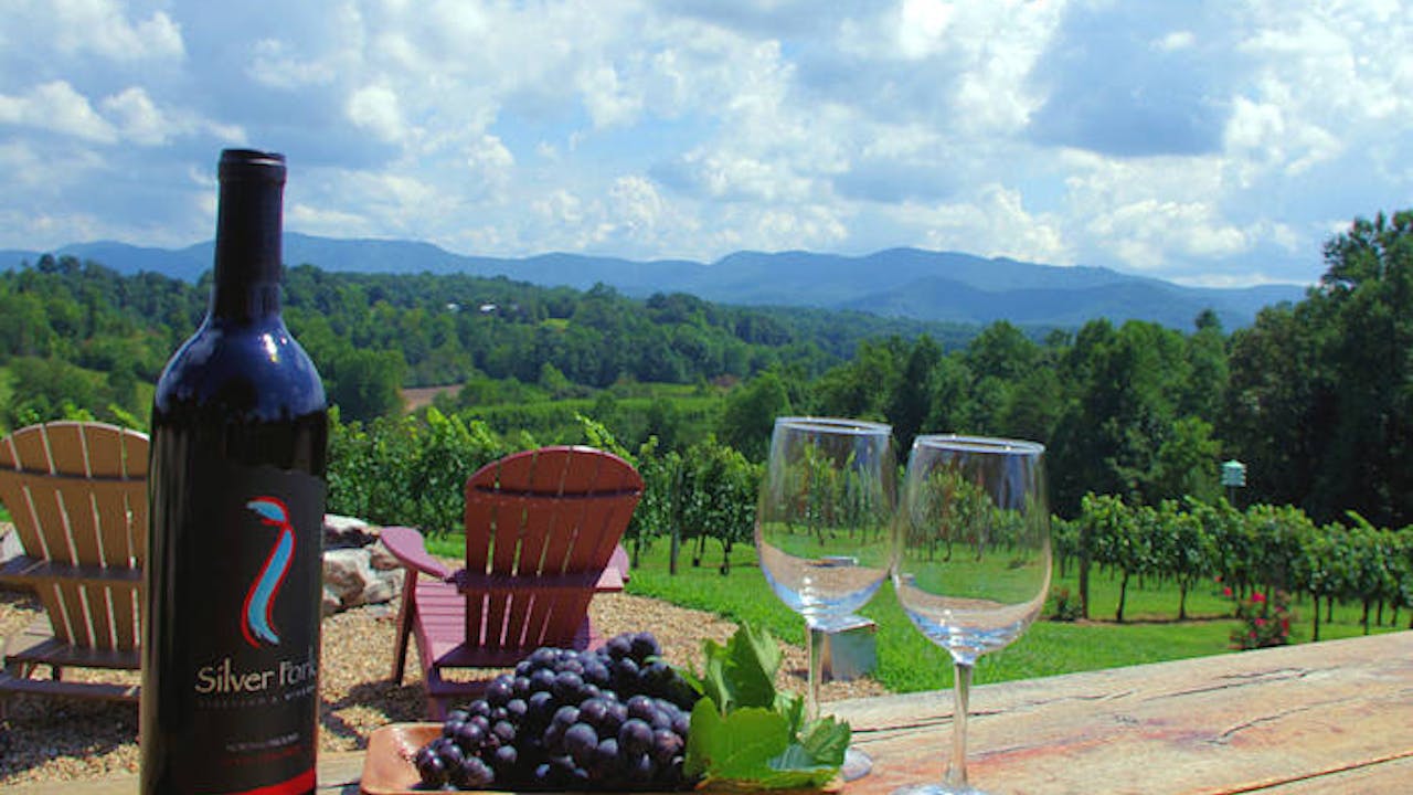 North Carolina Wine Series