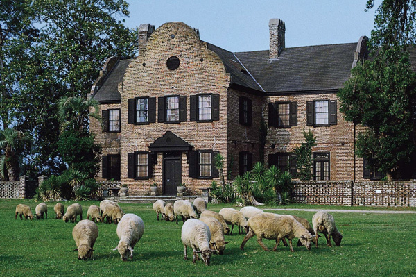 On the Map - Middleton Place - Episode 2