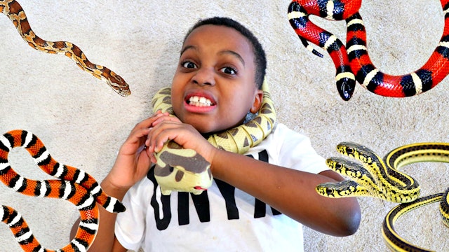 Onyx Kids Onyx Flix Onyx Kids Onyx Flix