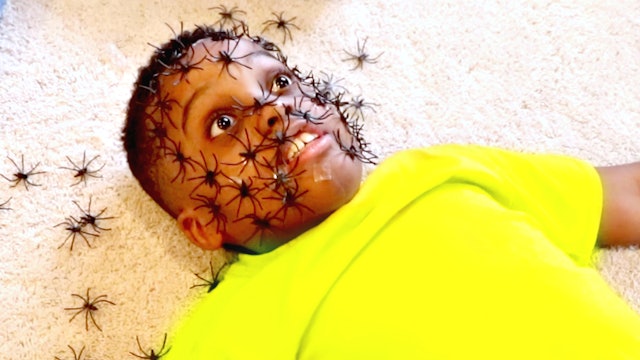 Spiders on Shiloh's Face!