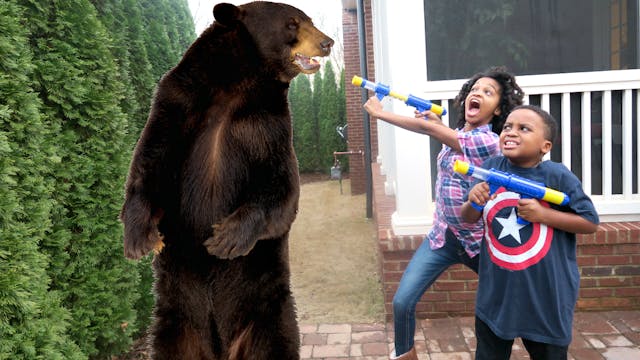Giant Grizzly Bear Attack!