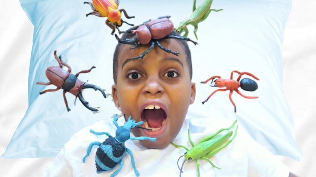 1,000 Bugs Attacks Shiloh!