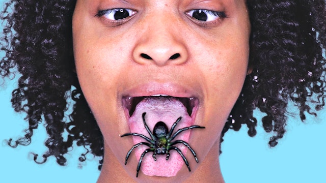 Spider Jumps In Mouth!