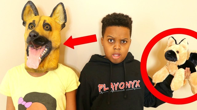 We Turned Into Dogs!