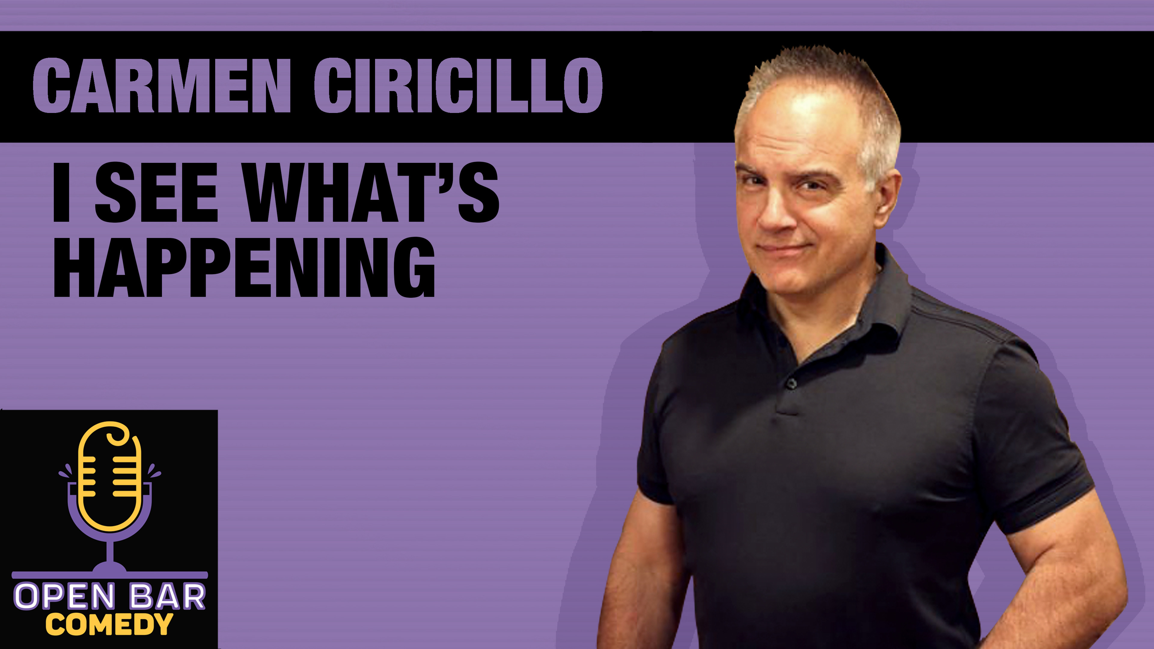 Carmen Ciricillo- "I See What's Happening"