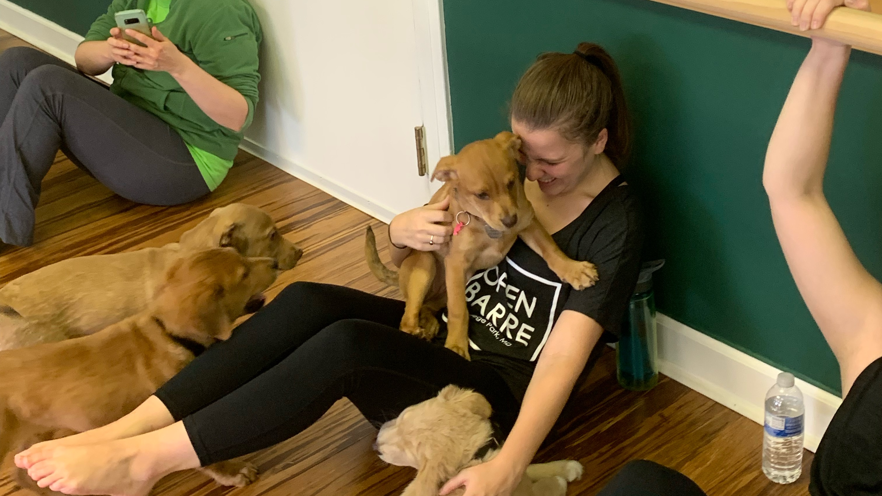 Warm Up with Lauren Arms & Abs January